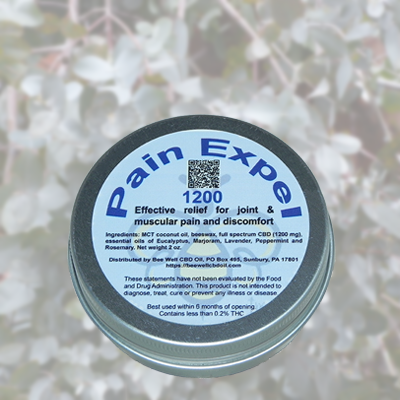 Bee Well CBD Pain Salve — Full-Spectrum CBD with Essential Oils for Targeted Topical Comfort