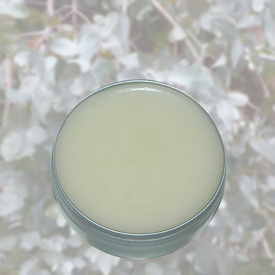 Bee Well CBD Pain Salve — Full-Spectrum CBD with Essential Oils for Targeted Topical Comfort